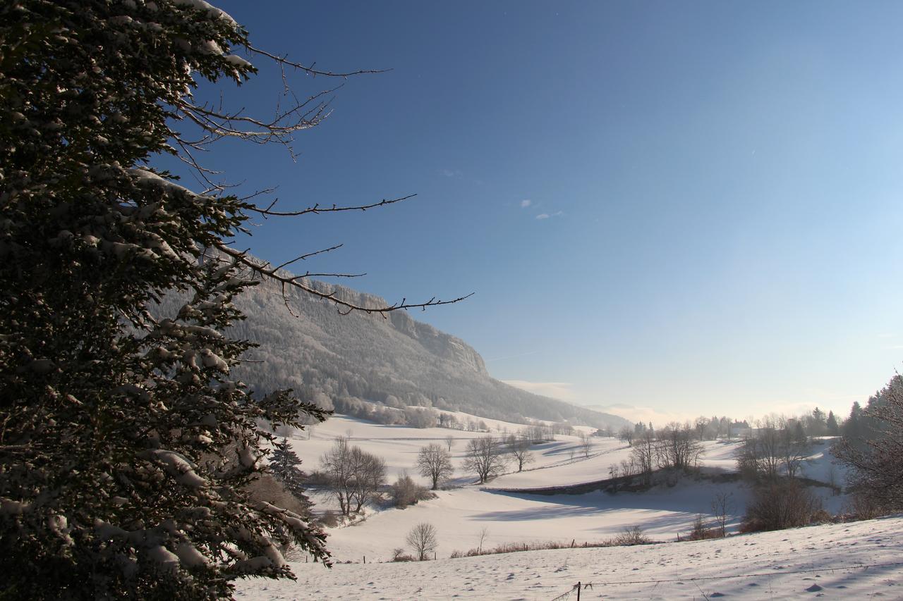 Saint-Julien-en-Vercors Cafe Brochier Hotel מראה חיצוני תמונה